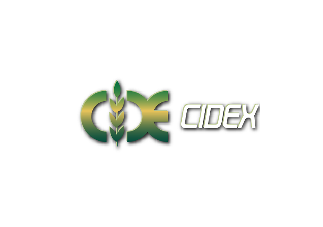 CIDEX (Beijing International Defense Electronics Expo)